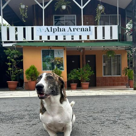 ラ・フォルトゥナ Alpha Arenalホステル エクステリア 写真